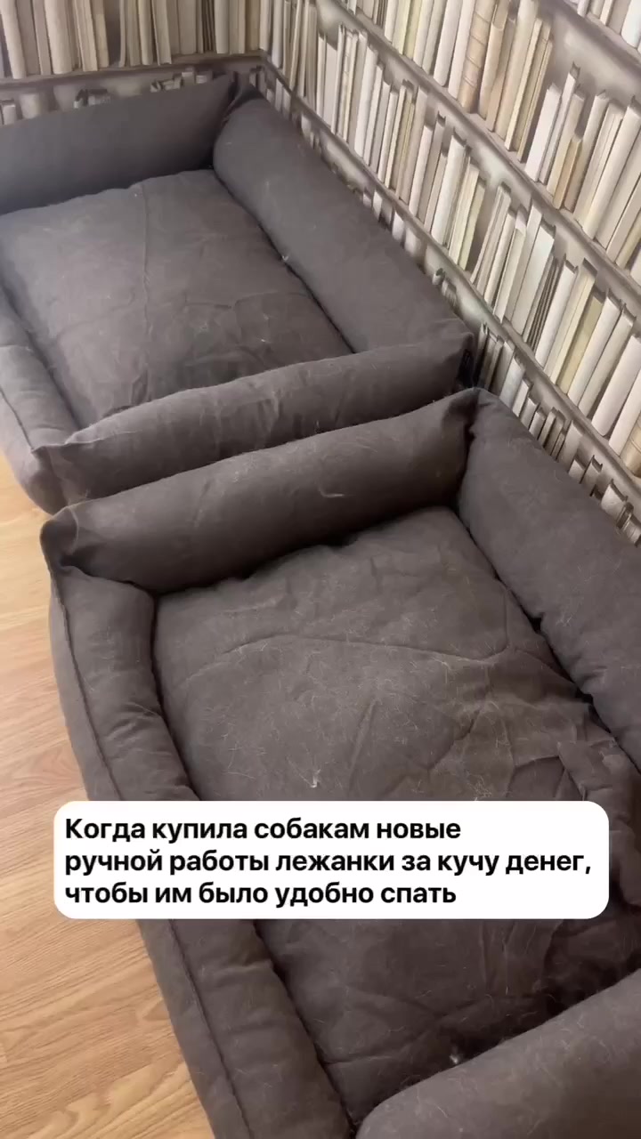 Ожидания и реальность
