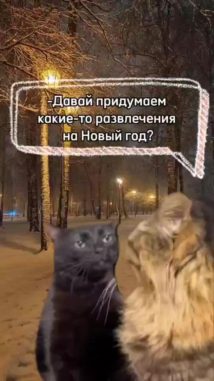 Отличный план на Новый год