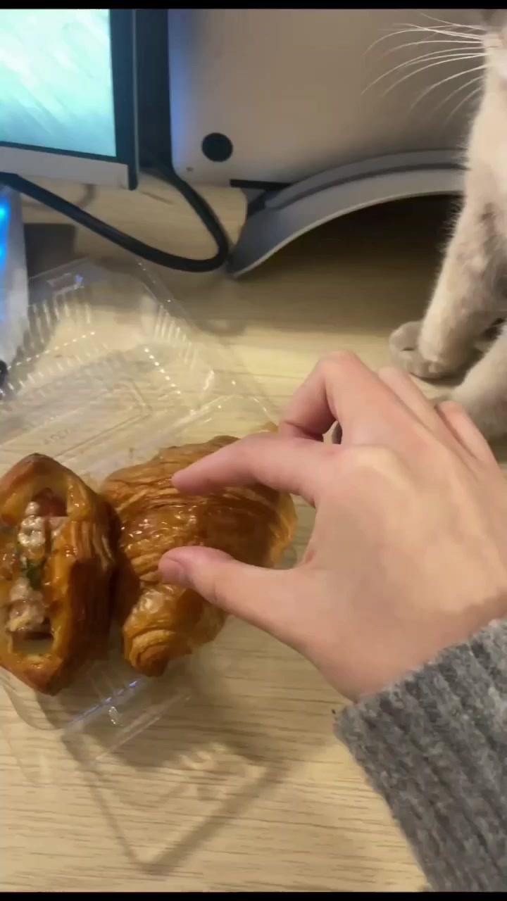 Жестокий обман
