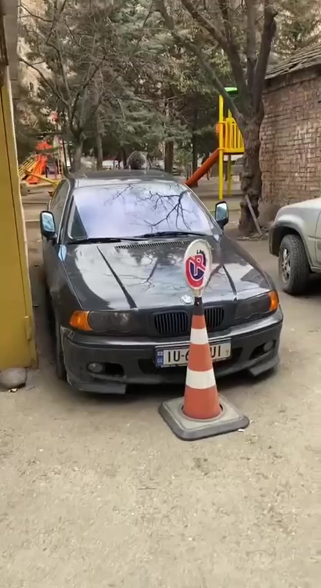 Котик и сосиска
