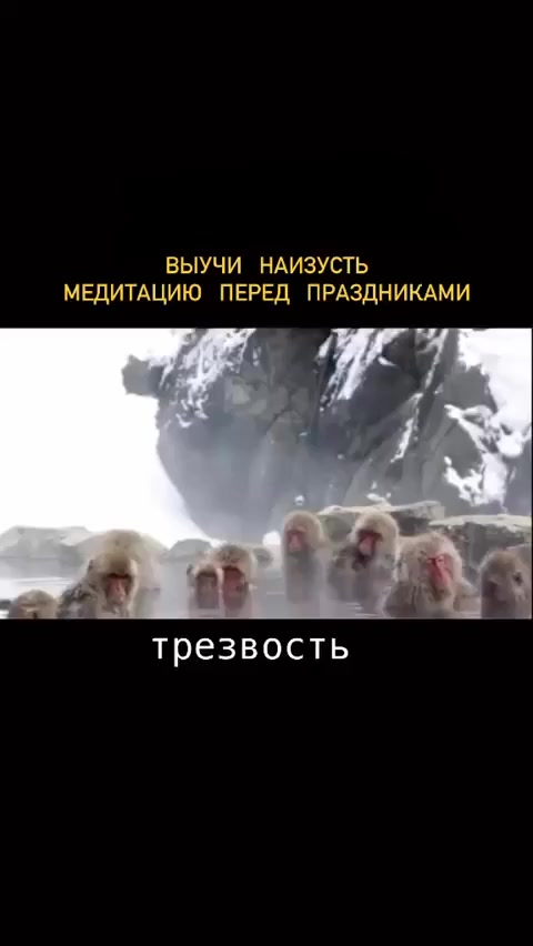 Медитация на работу)