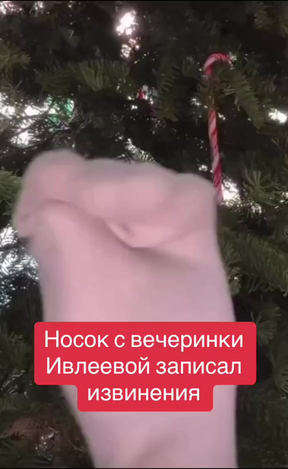 Носок с вечеринки Ивлеевой записал извинения