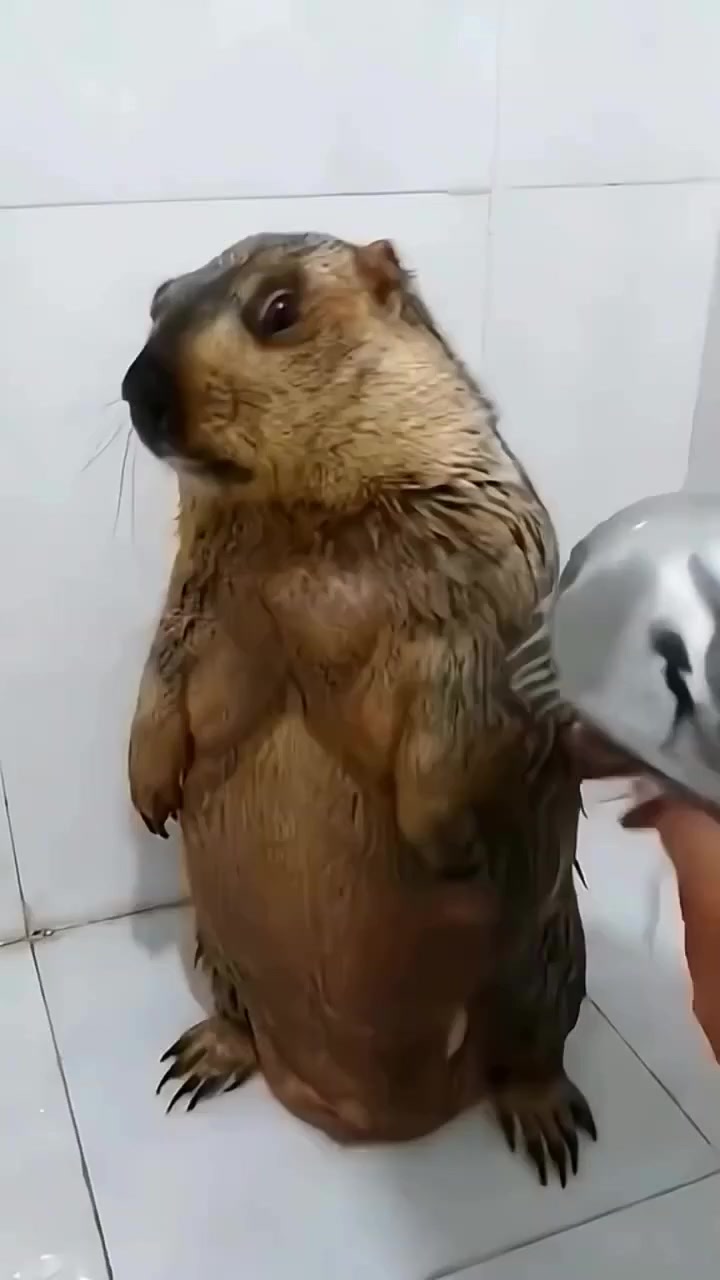 Водные процедуры