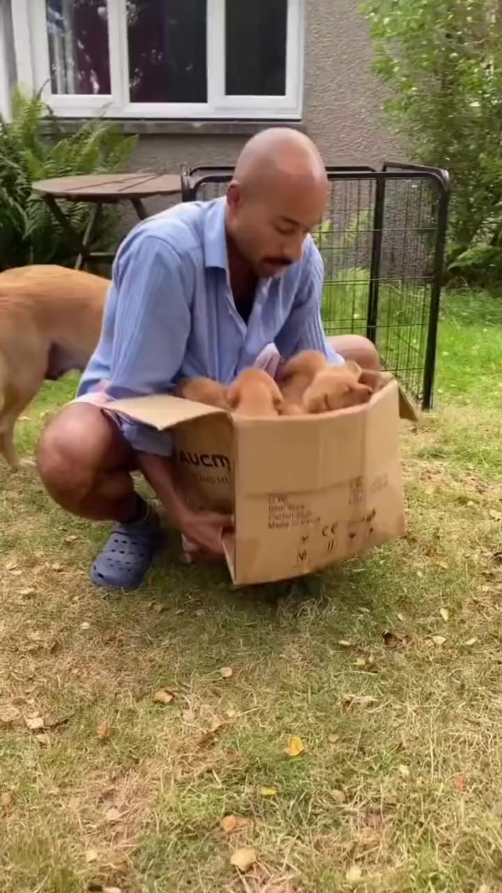 Коробочка счастья