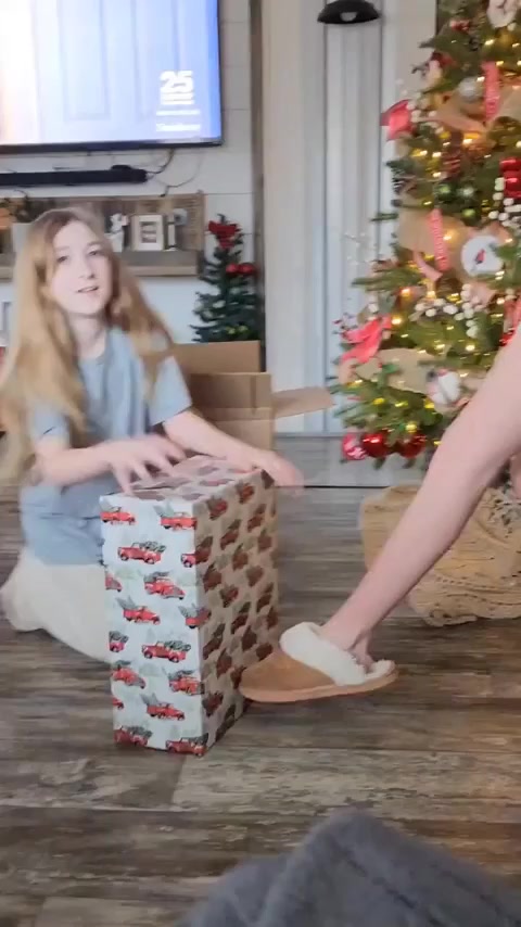Собака ПК боярина