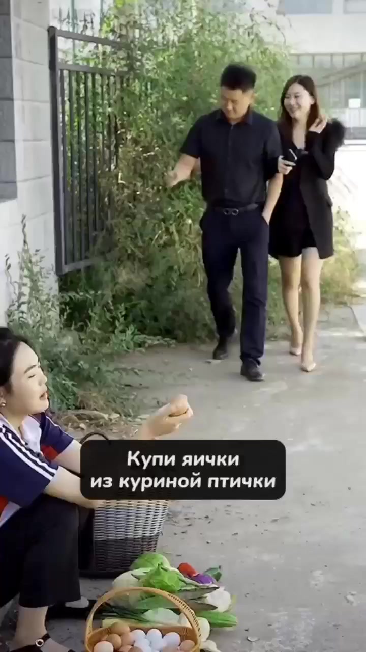 Новые приключения Бахи