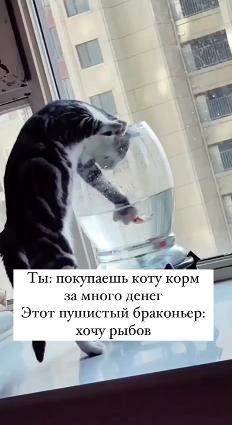 А тут вкусней