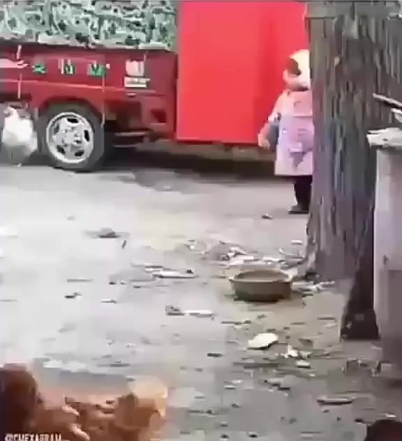 А-а-а-а-а так вот почему яйца подорожали!!!
