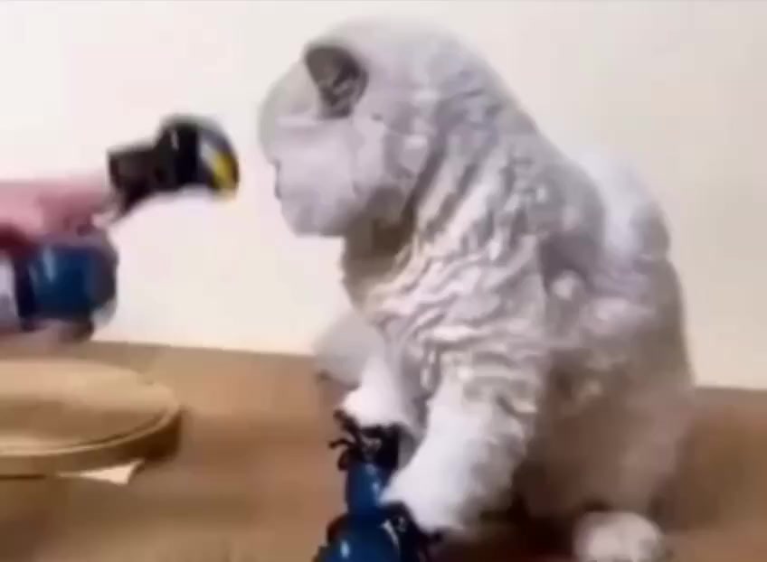 Нокаут