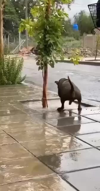 Сколько нужно для счастья?