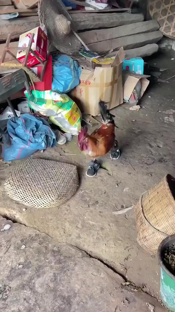 Когда купил новые кросы