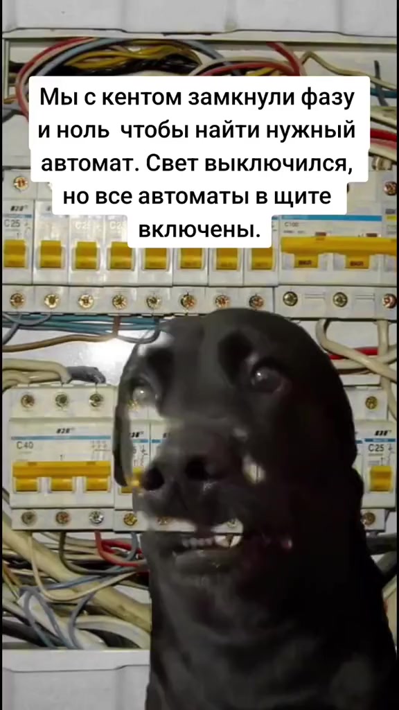 Электрики поймут