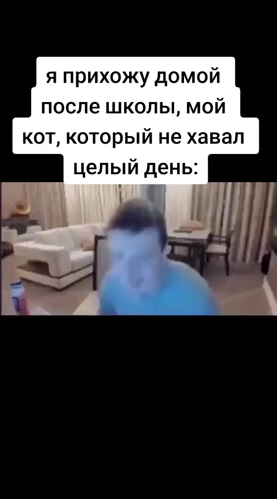 Кот хочет есть