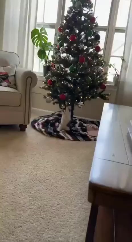 Уцепились и не отпускаем ёлочку, вдруг убежит А так же, всех с наступающим!