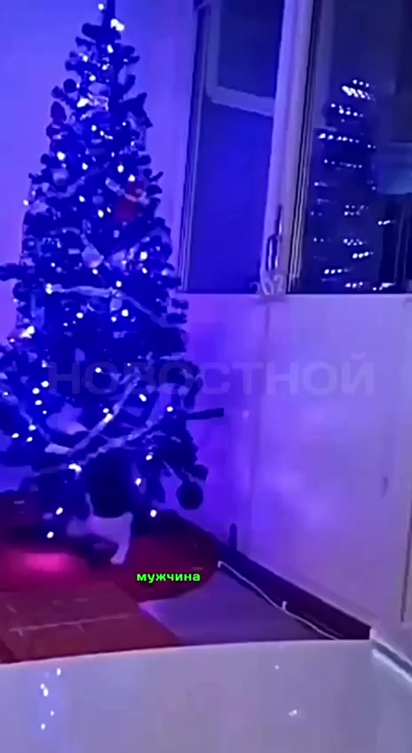 Не выдержал бедняга