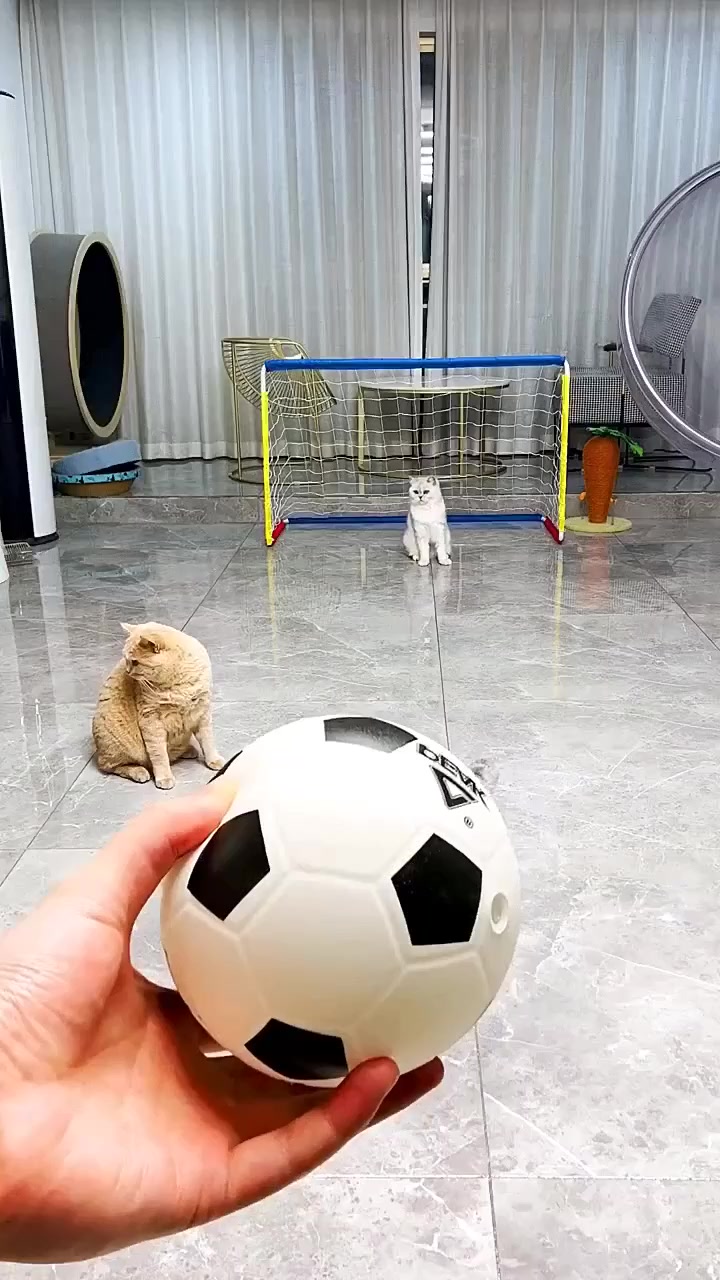 Зазевался