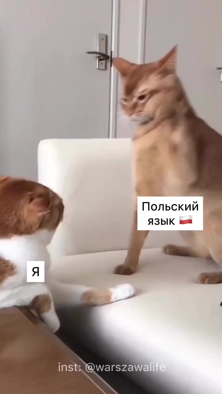 Польская фонетика