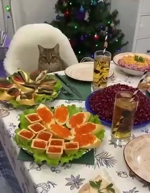 В ожидании, когда все уснут