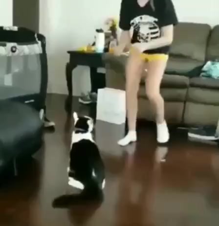 Не на того ты быканула