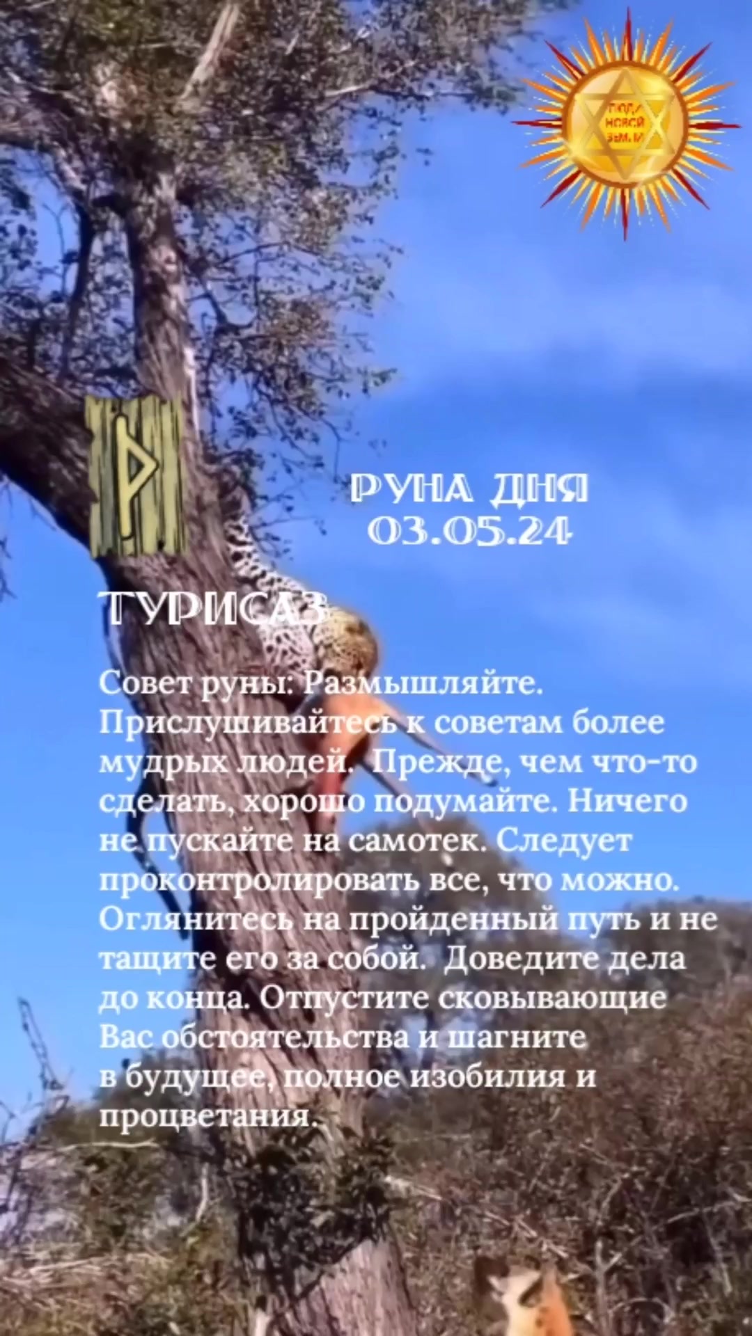 Руна дня 03.05.24 ТУРИСАЗ